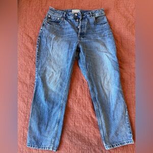 Everlane The Curvy 90s Cheeky Straight Jean